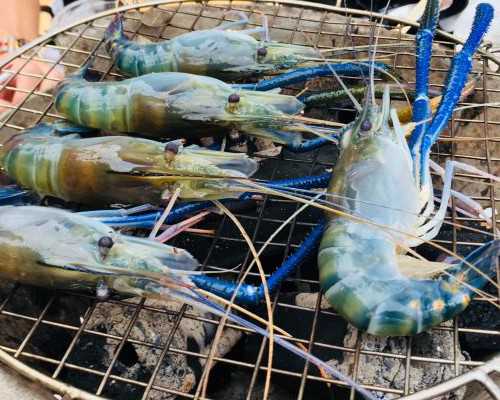 国内代生公司-宫腔积液做试管有没有影响 女性做试管有宫腔积液怎么办