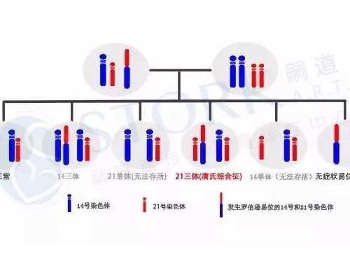 重庆不需要结婚证的试管医院排名榜揭晓