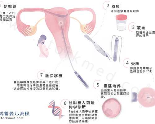 子宫内膜8太厚做试管婴儿