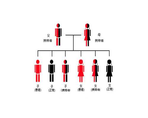 泰国三代试管婴儿*几率有没有那么高(费用详情) 试管供卵电话