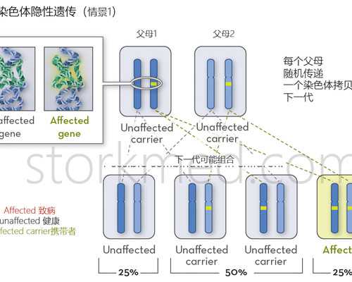 做输卵管积水多久可以试管？输卵管积水治疗后多久可以怀孕？